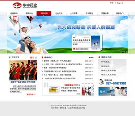 2008年那会企业建站