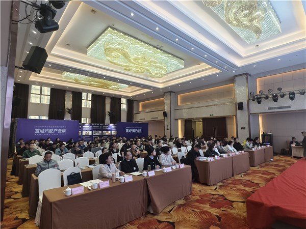 宣城汽配产业带扬帆出海，跨境电商专场对接赋能企业建站新篇